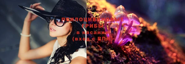 прущая мука Алзамай