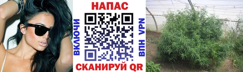 МАРИХУАНА Bruce Banner  МЕГА ССЫЛКА  Дмитров  купить наркотик 